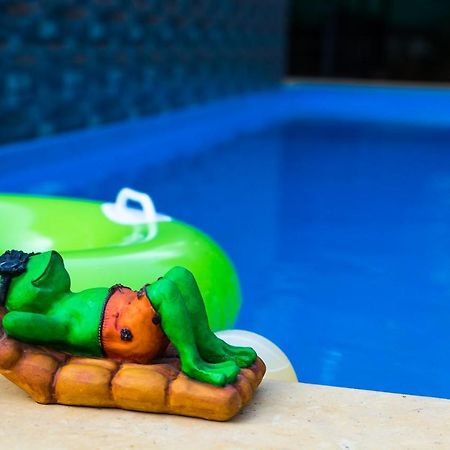 Lazy Frog Guest House Кавелоссім Екстер'єр фото